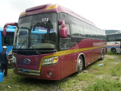 Туристический автобус Kia Granbird Sunshine  2009 год