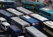 Три новых автобусных маршрута свяжут Владивосток и остров Русский