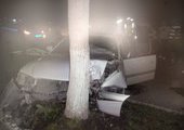 Пять человек, два автомобиля и дерево пострадали в ДТП в Приморье