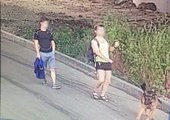 Во Владивостоке овчарка без намордника напала на девочку с собачкой