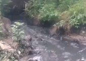 В Уссурийске в реку вливается мазутный ручей