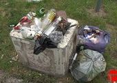 Уссурийцы выбрасывают в урны домашний мусор