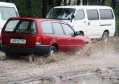 Сильные дожди затопили Владивосток, а шквалистый ветер повалил дерево